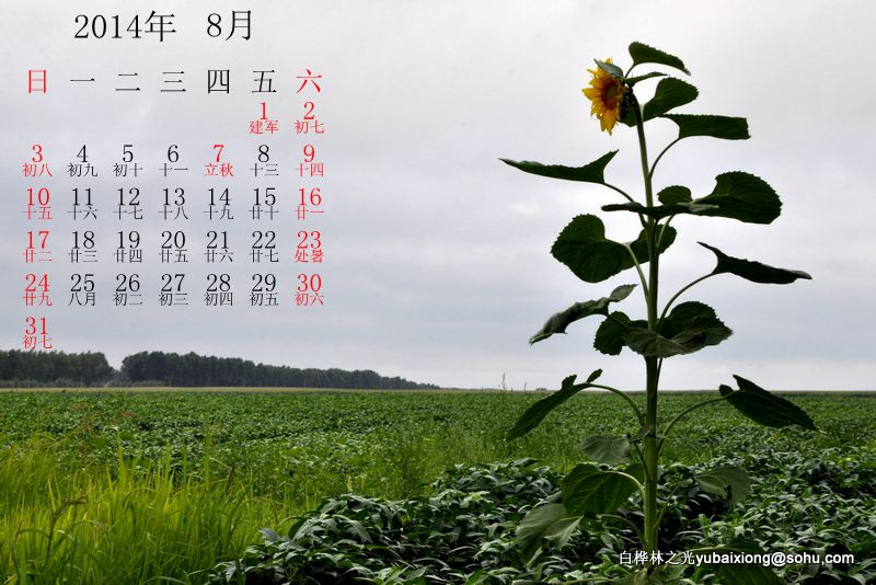 大荒恋曲-献给新年的日历 场部 郁百雄 - zq8523 - 852农场3分场(20团3营)知青网 大荒恋曲-献给新年的日历 场部 郁百雄 - zq8523 - 852农场3分场(20团3营)知青网