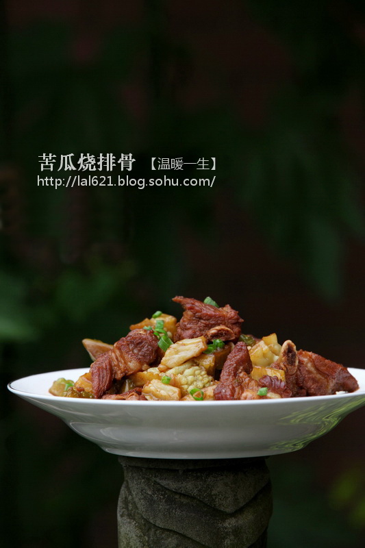 清火不油腻的夏季好菜----苦瓜烧排骨 - 慢美食 - 慢 美 食 清火不油腻的夏季好菜----苦瓜烧排骨 - 慢美食 - 慢 美 食