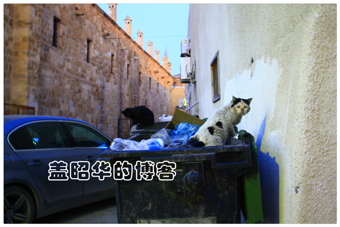 200万移民塞浦路斯靠谱吗--盖昭华的博客