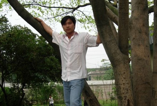 侧柏叶怎么治疗脱发-止<em>脱</em>生发妙招的博客|网络