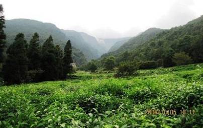 面积约300亩,兴建了许多旅客迥异别墅,散落在山间,供别墅休憩,投资,赏惠阳风格娱乐图片