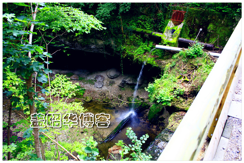转发:轻松一下,望梅止渴,打打精神牙祭 - 东篱散人 - 东篱散人1818的博客 转发:轻松一下,望梅止渴,打打精神牙祭 - 东篱散人 - 东篱散人1818的博客