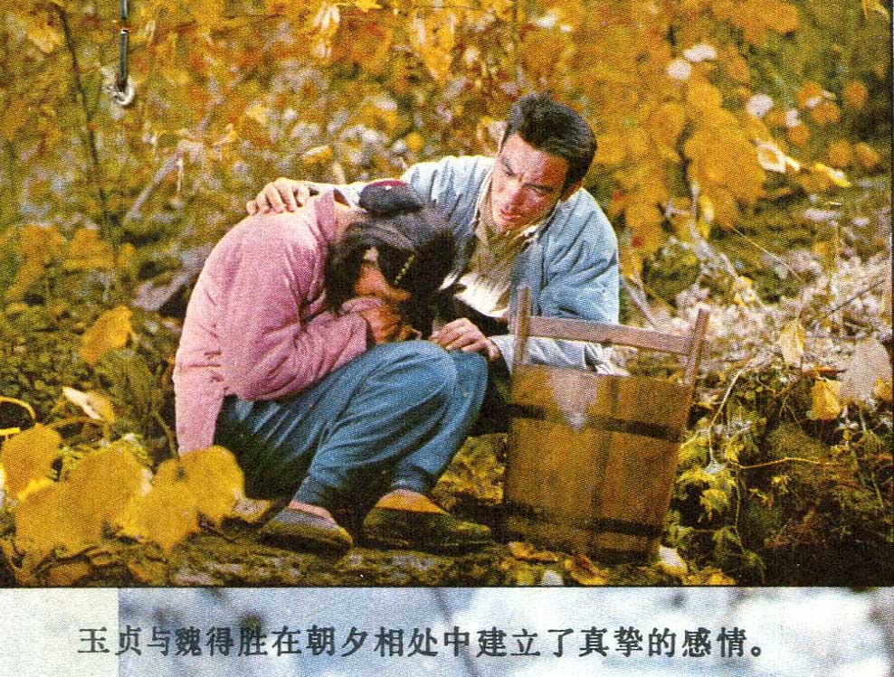 《归心似箭》1979年那些红色的记忆(526)