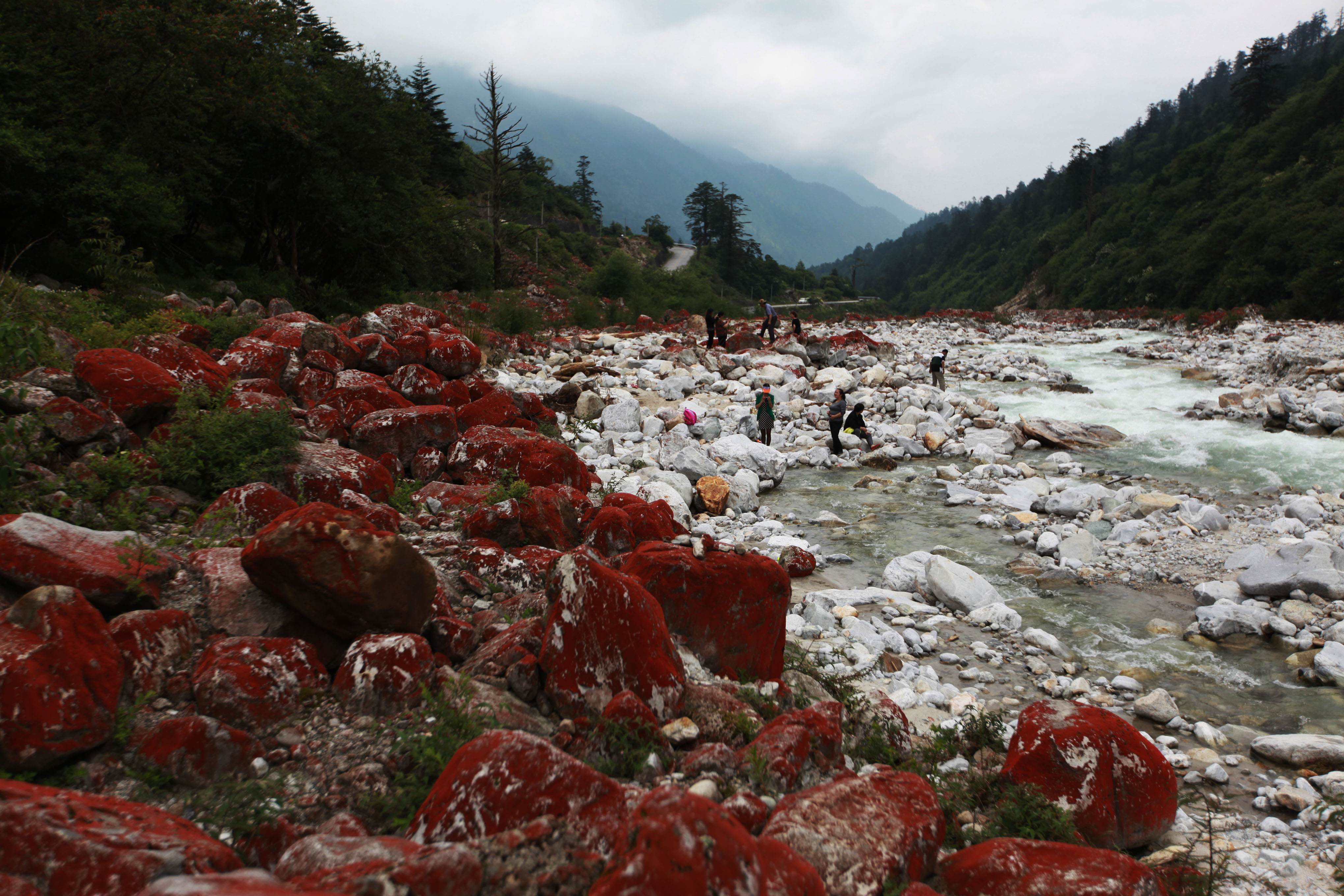 西脏之行二(海螺沟冰川,红石公园 ,雅加埂山口,折多山