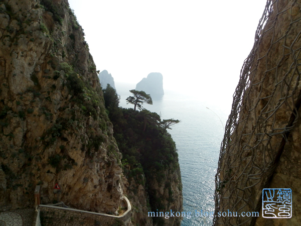 ���� �������