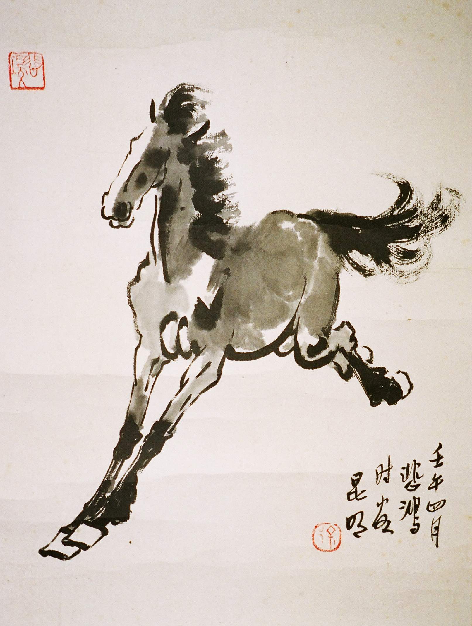 战马奔腾-中国蒲公英 -搜狐博客