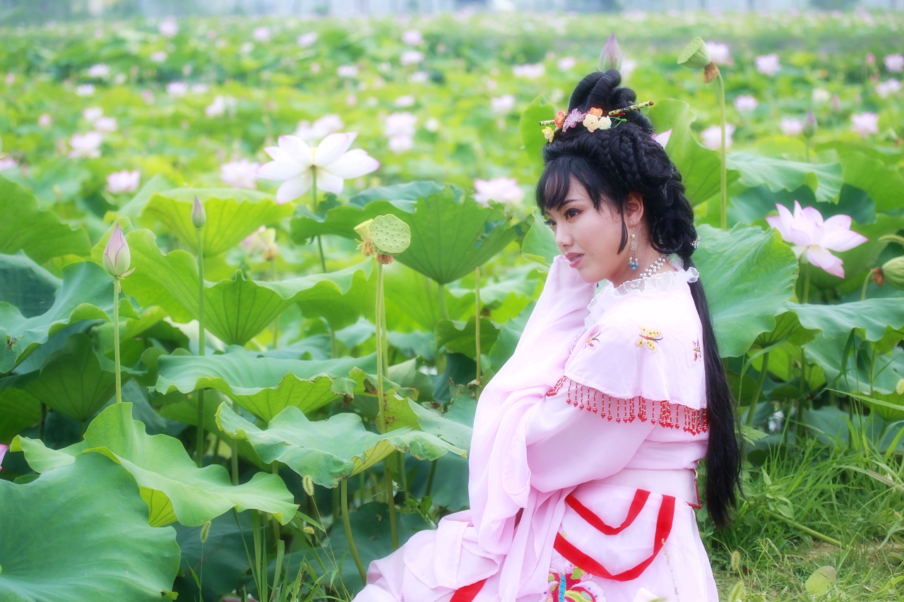 六月荷花别样红,,,荷花仙子组图