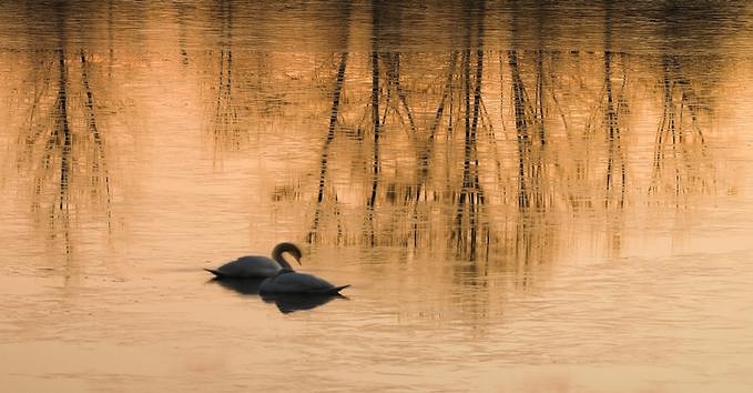 (搜狐博友圈)当今社会道德为什么滑坡到如此地