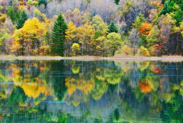 暑假两个人去九寨沟旅游多少钱?