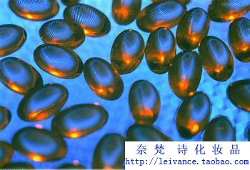 维生素e能去掉纹身内容图片分享