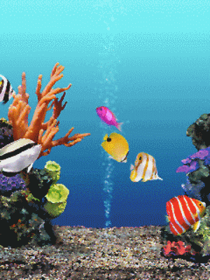 动态海洋(有鱼游动)的电脑桌面壁纸 : 动态桌面会让电脑变慢,而且