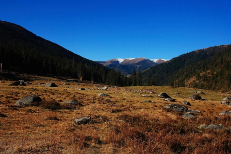 摄影活动\/成都\/稻城\/梅里雪山\/然乌湖\/林芝拉萨