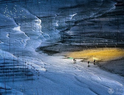 野外应急医疗急救知识培训通知