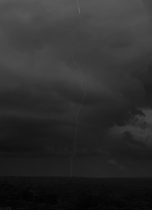 13530780.gif