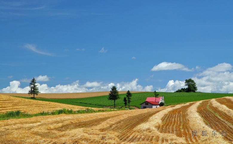 自由行游世界:日本最美村庄美瑛町