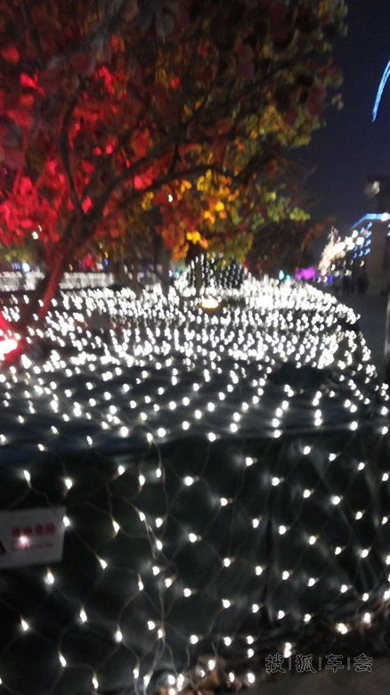 10022879.jpg_s780