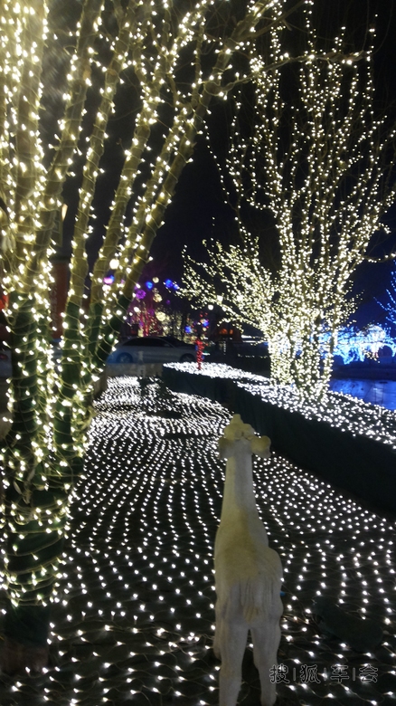 10022900.jpg_s780