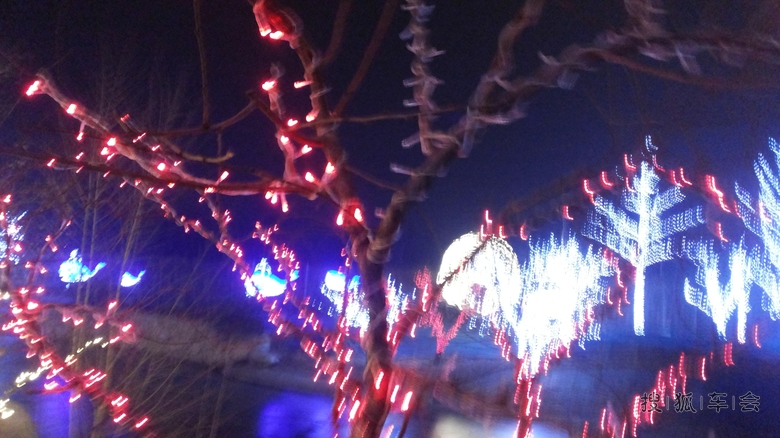 10022915.jpg_s780