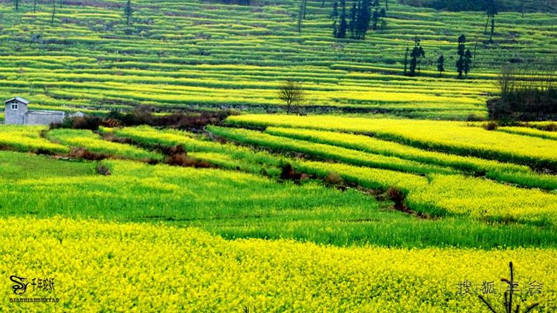 广西云南贵州春节自驾游(更新重庆磁器口330楼