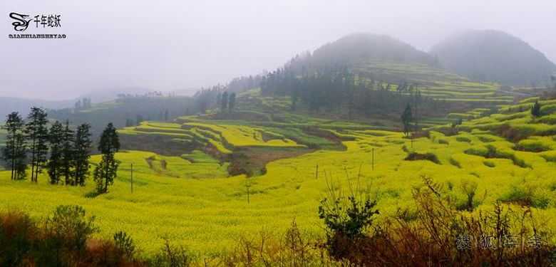 广西云南贵州春节自驾游(更新重庆磁器口330楼