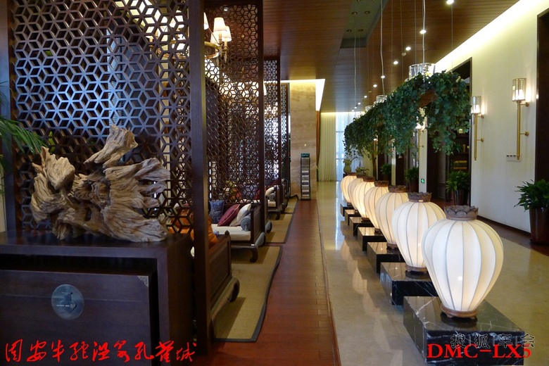 【三版联合】去河北固安牛驼温泉孔雀城看别墅