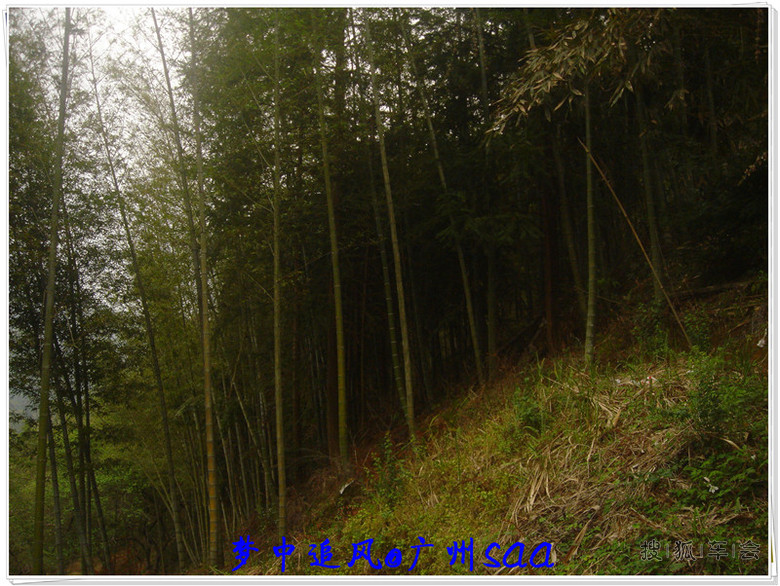 深山里的诗--记广州从化区溪头村农家深度体验