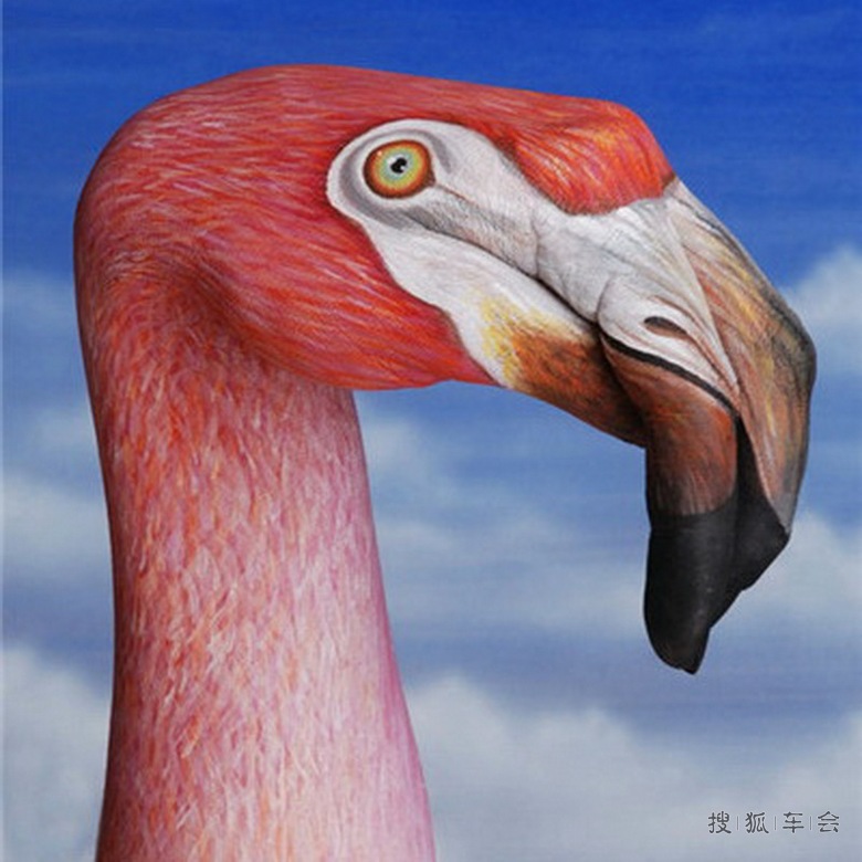 【美图欣赏】手的艺术组合_北京比亚迪S6