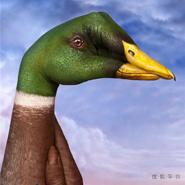 【美图欣赏】手的艺术组合_北京比亚迪S6