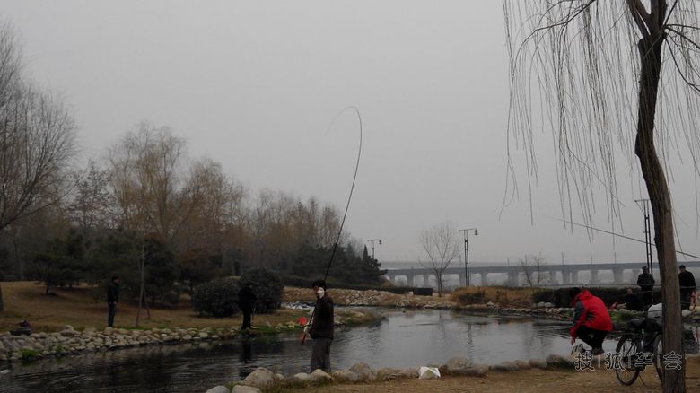 [踏青]小溪边钓鱼的人们手下留情