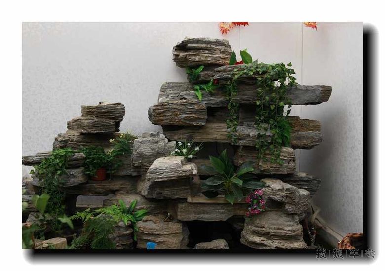 花卉市场---山水盆景