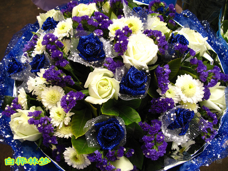 [身边的美景-玉泉营花卉市场]