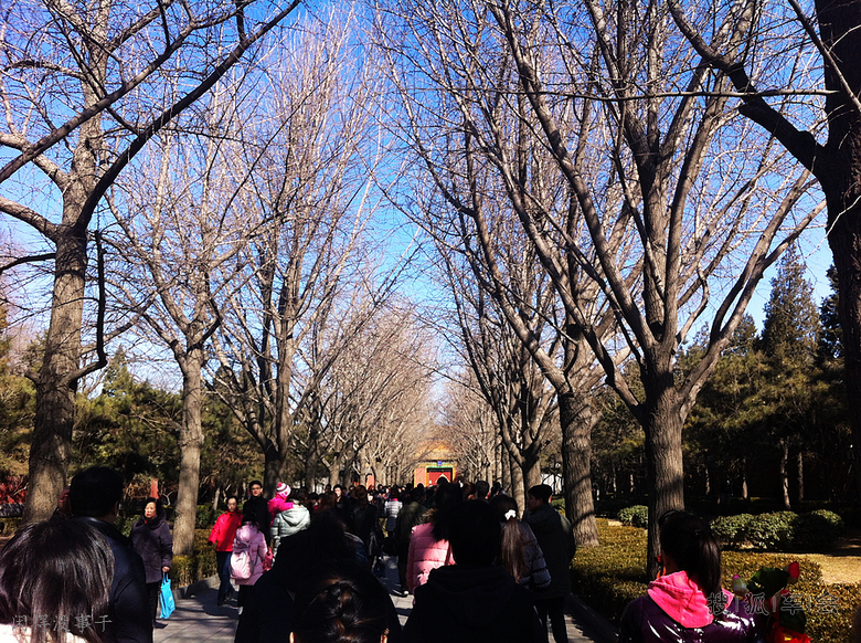 雍和宫上香_悠扬午后