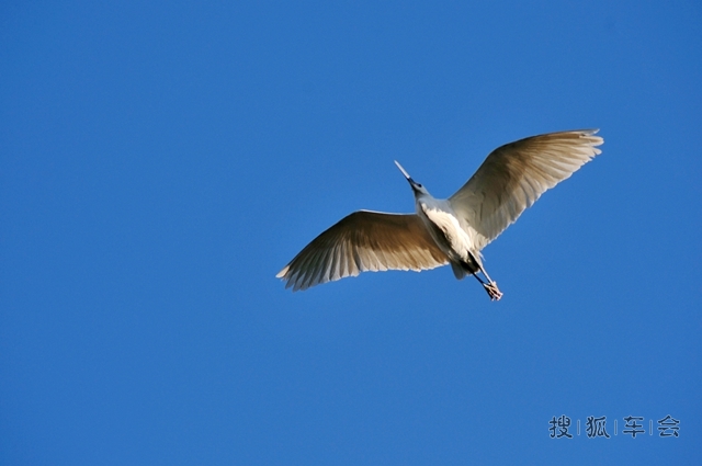 镜中的鸟儿在飞翔_京A军团摩旅
