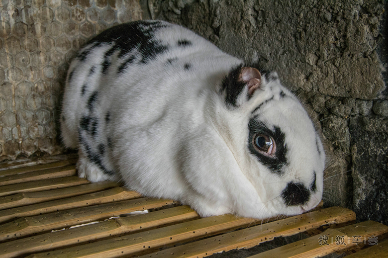 《梦幻川西纪实系列一》春风又度东女国