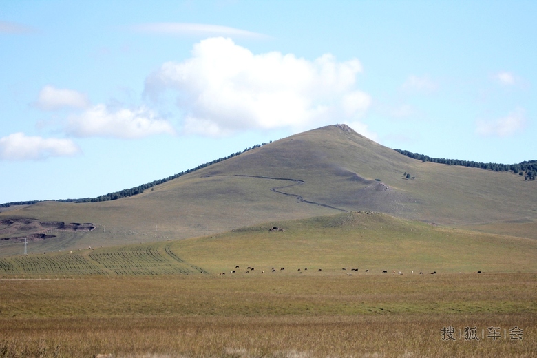 [原创] 空中草原丽影之内蒙