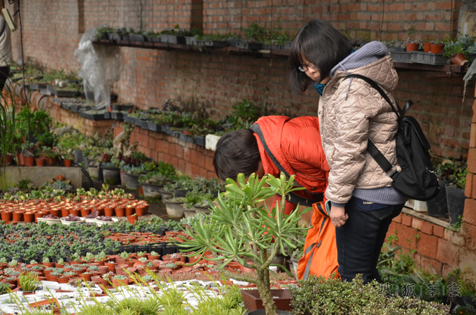 通州肉鹏---百花仙子园