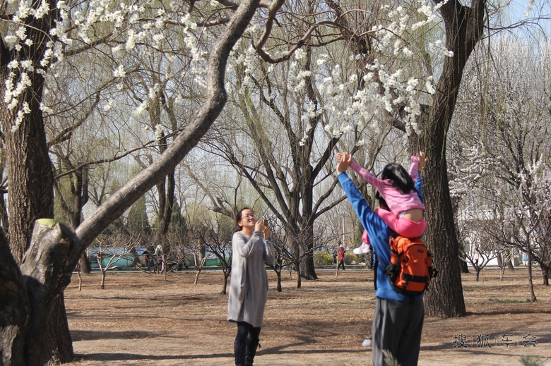 【西堤踏青12】我想把小姑娘领回家(儿童片)