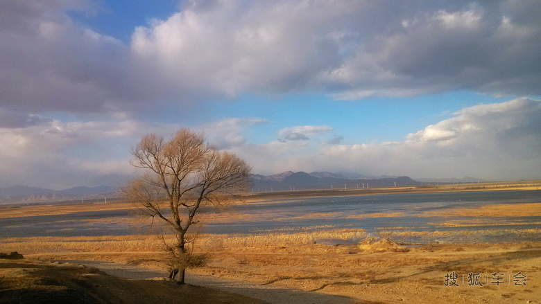 10240280.jpg_s780