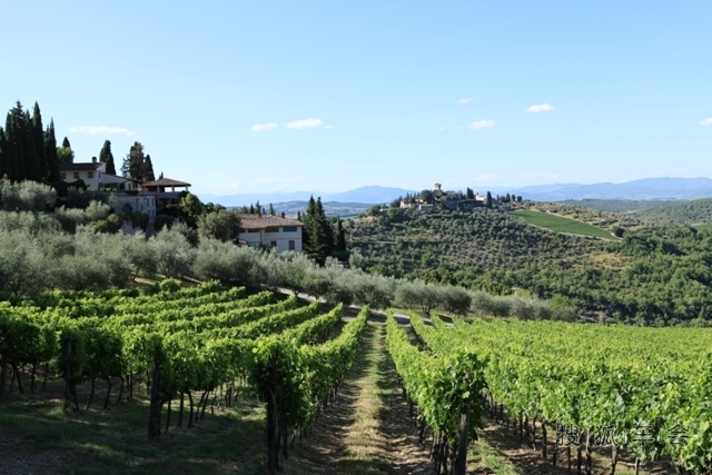 意大利-托斯卡纳-酒庄-托斯卡纳-农场(住宿)
