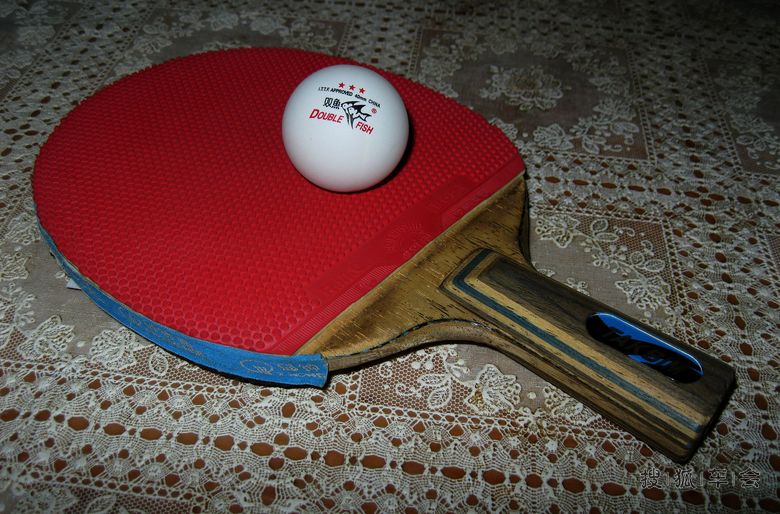 中国自驾游户外联盟廊坊乒乓球队成立_中国自