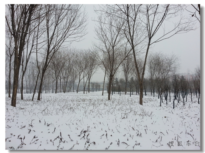 大雪纷飞游西流湖_菲亚特-菲狐队