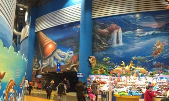 不出北京探寻海底奥秘--参观北京海洋馆