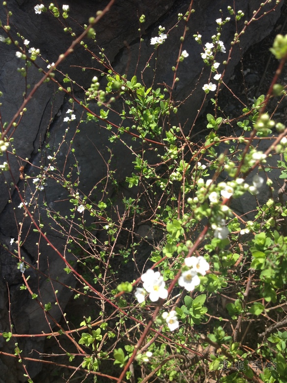 3月30日星期日流水记录