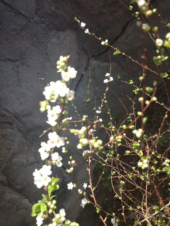 3月30日星期日流水记录