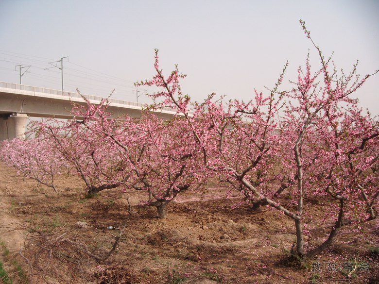注册登录,首发帖_运城车友会