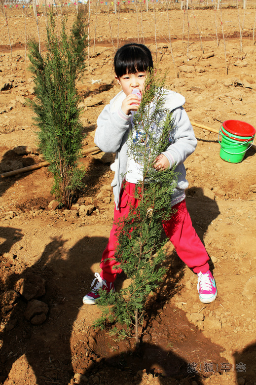 2014年度公益植树活动之--成果篇!_迈腾-腾云