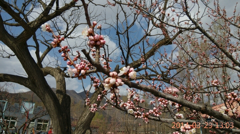 畅游大榛峪长城