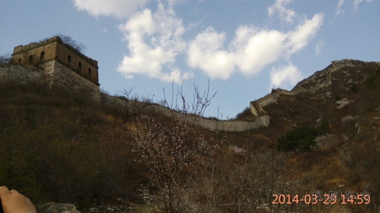桃花满山的大榛峪长城