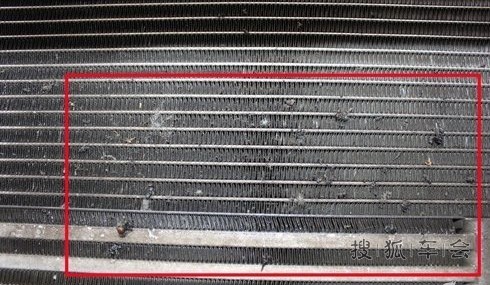 杨絮和柳絮对车的伤害_全球鹰GX7论坛