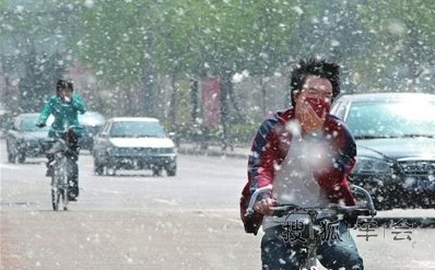 杨絮和柳絮对车的伤害_全球鹰GX7论坛